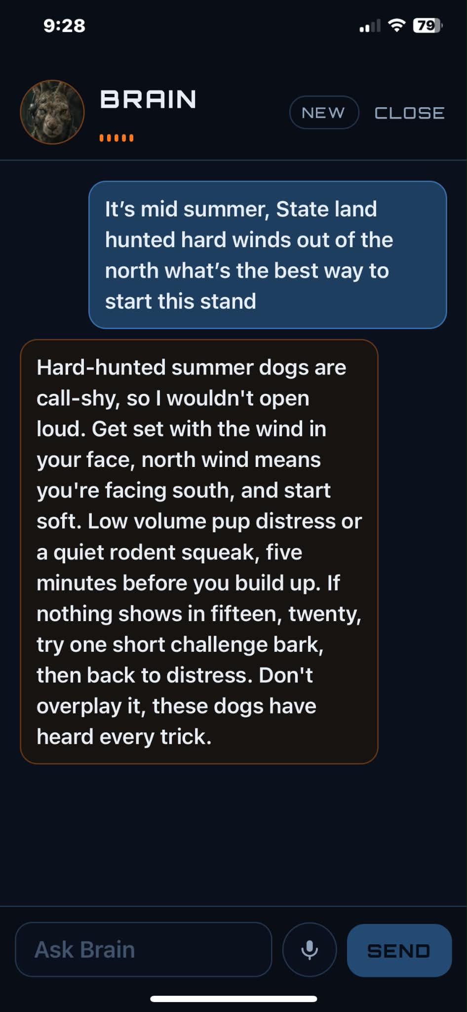 Asking BRAIN how to start a stand